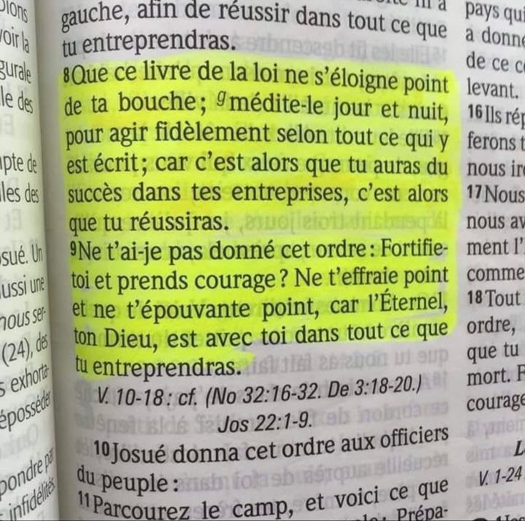 La Bible tweet media