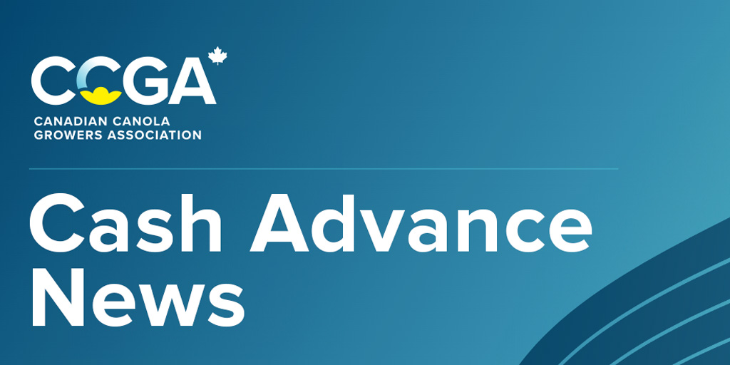 CCGA_ca (@ccga_ca) / Posts / X