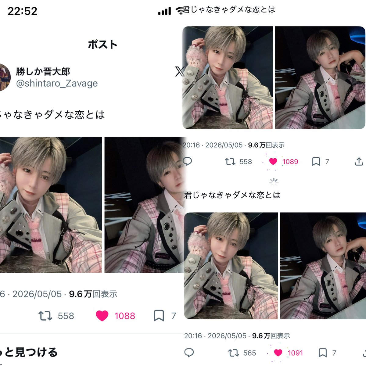 🐱 tweet media