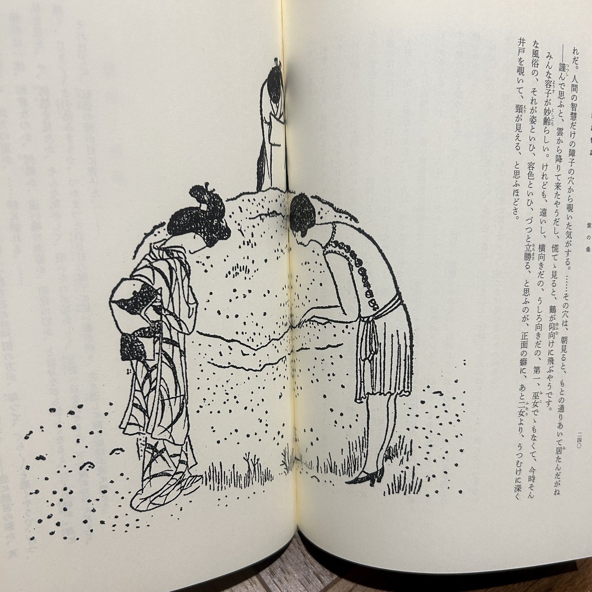 千葉市美術館「小村雪岱のすべて」展で見た、鏡花『山海評判記』の雪岱挿絵の原画が最！高！だったので、国書刊行会『初稿・山海評判記』と比較。「時事新報」連載時の挿絵を約300点収録した素晴らしい本だが原画からの収録ではない。なので今回は原画を見て、その白黒の世界と線の素晴らしさに戦慄…