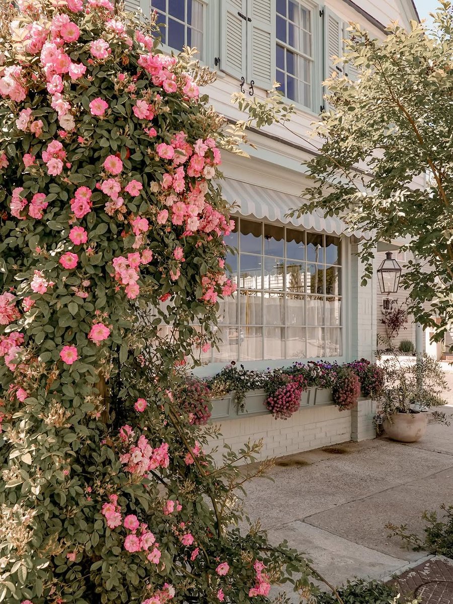 ExploreCHS's tweet photo. Happy #WindowBoxWednesday from Charleston! 🌿 #ExploreCharleston https://t.co/3eb4W7GGHH