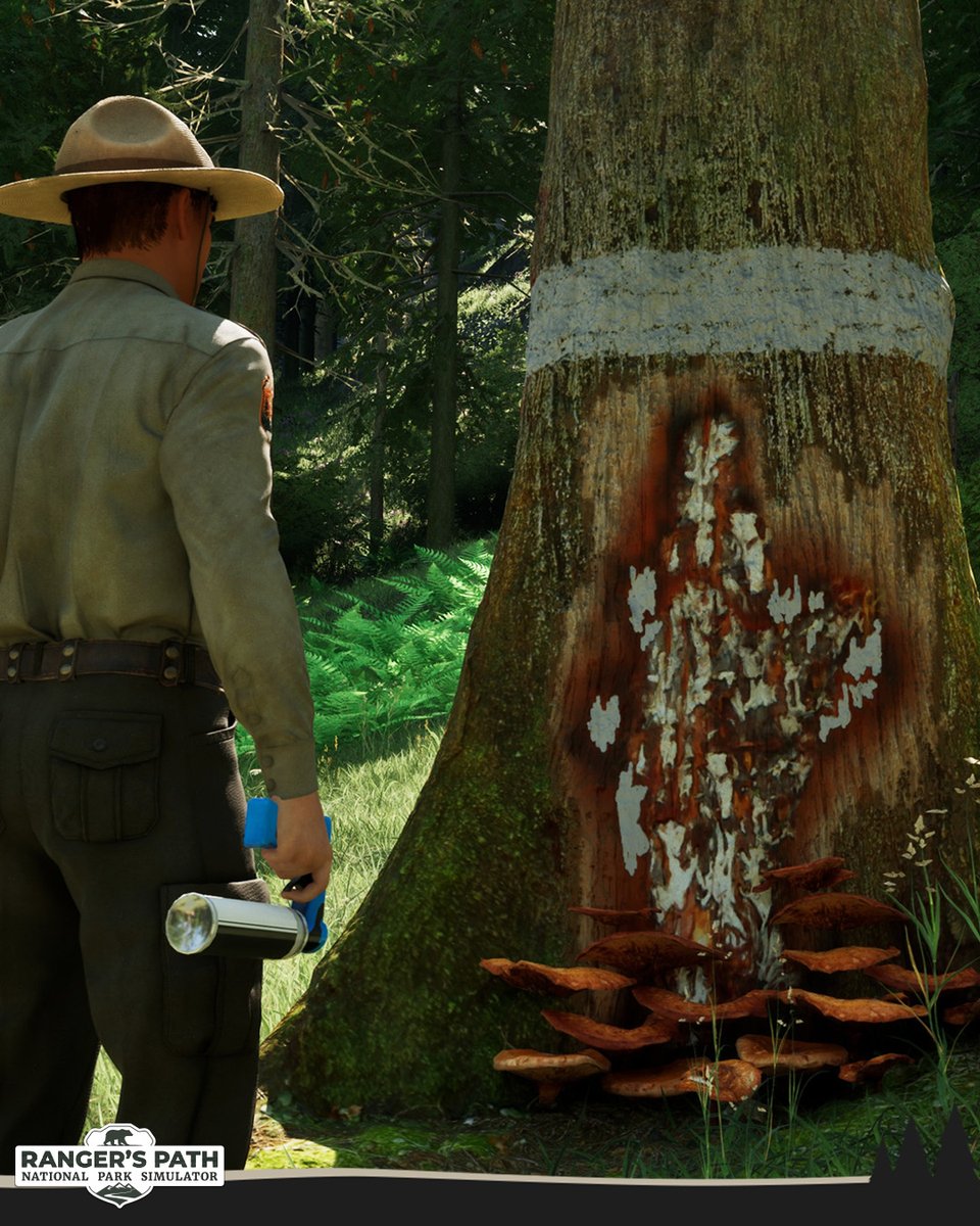 Ranger's Path: National Park Simulator tweet media