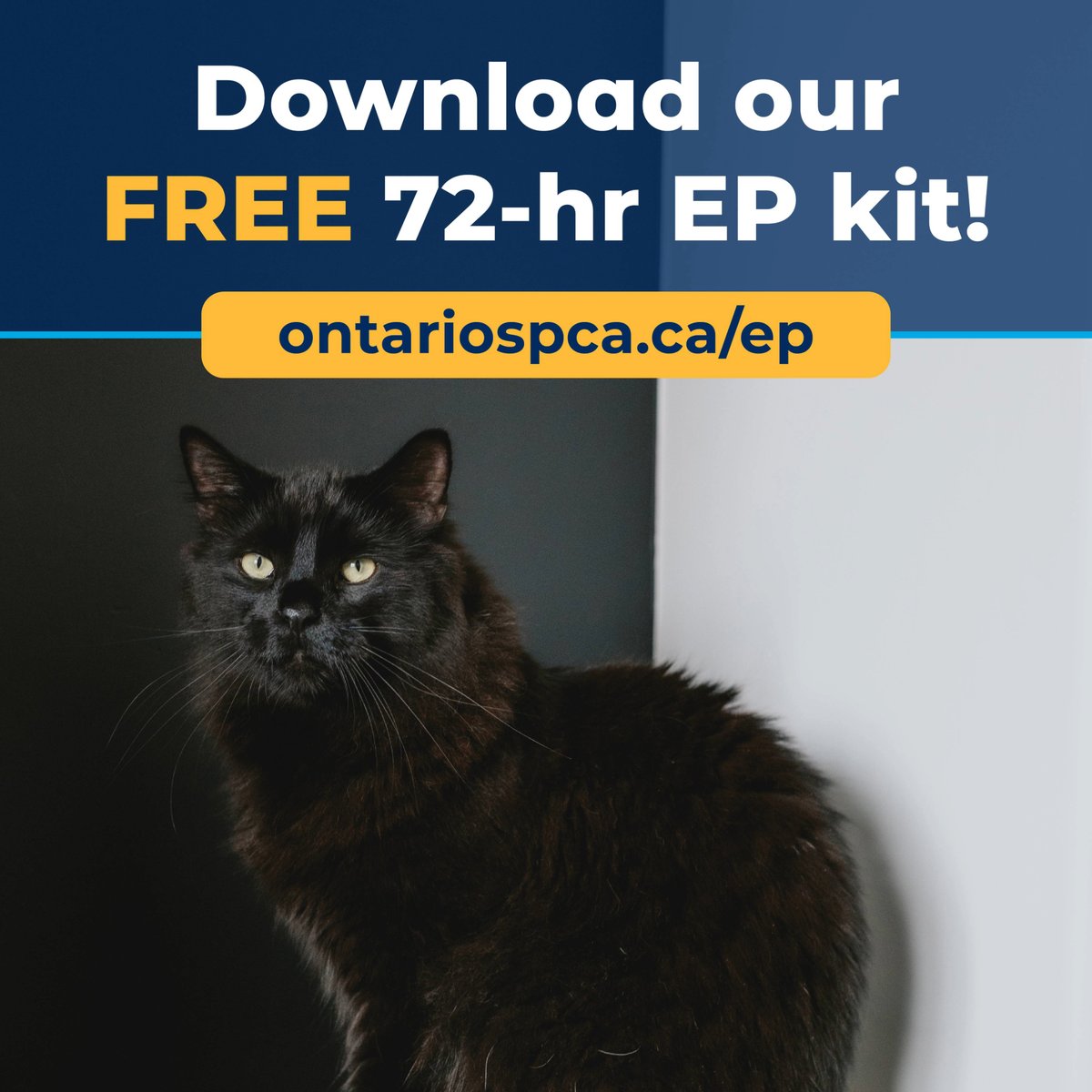 The Ontario SPCA and Humane Society tweet media