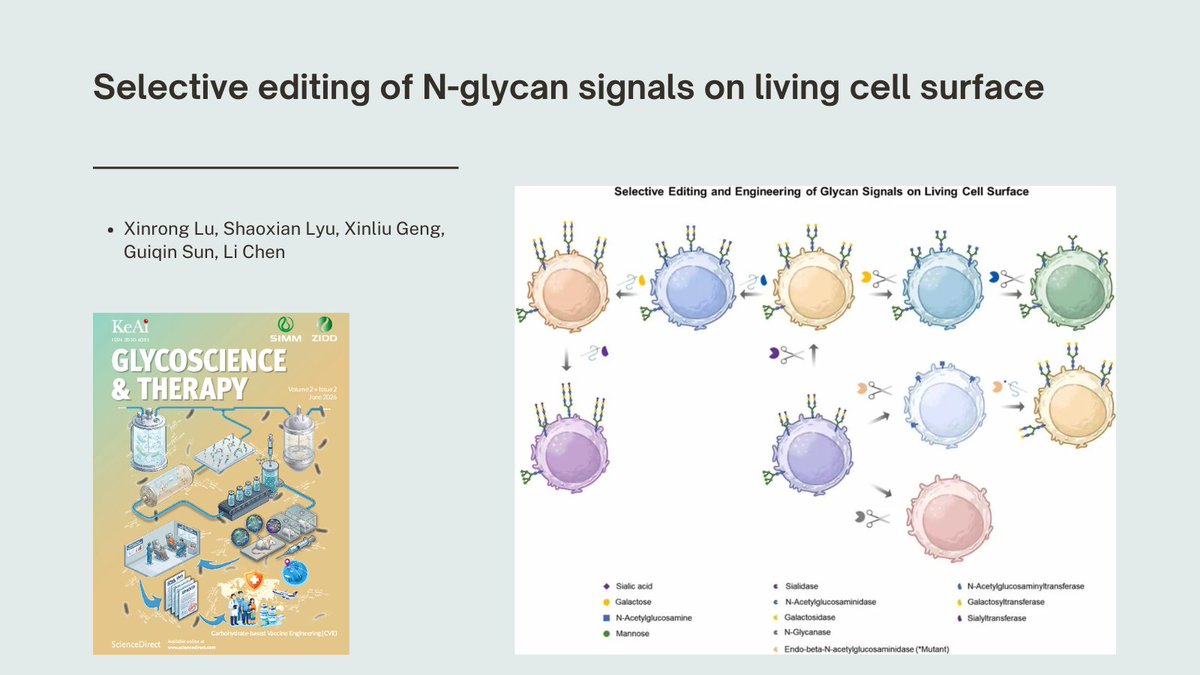 KeAiPublishing's tweet photo. A new review in Glycoscience & Therapy: Enzymatic glycan editing enables precise cell‑surface #N‑glycan remodeling.
🔗Learn more: https://t.co/m6WepgXqZc
#Glycobiology #CellEngineering https://t.co/GJSCpWKPex