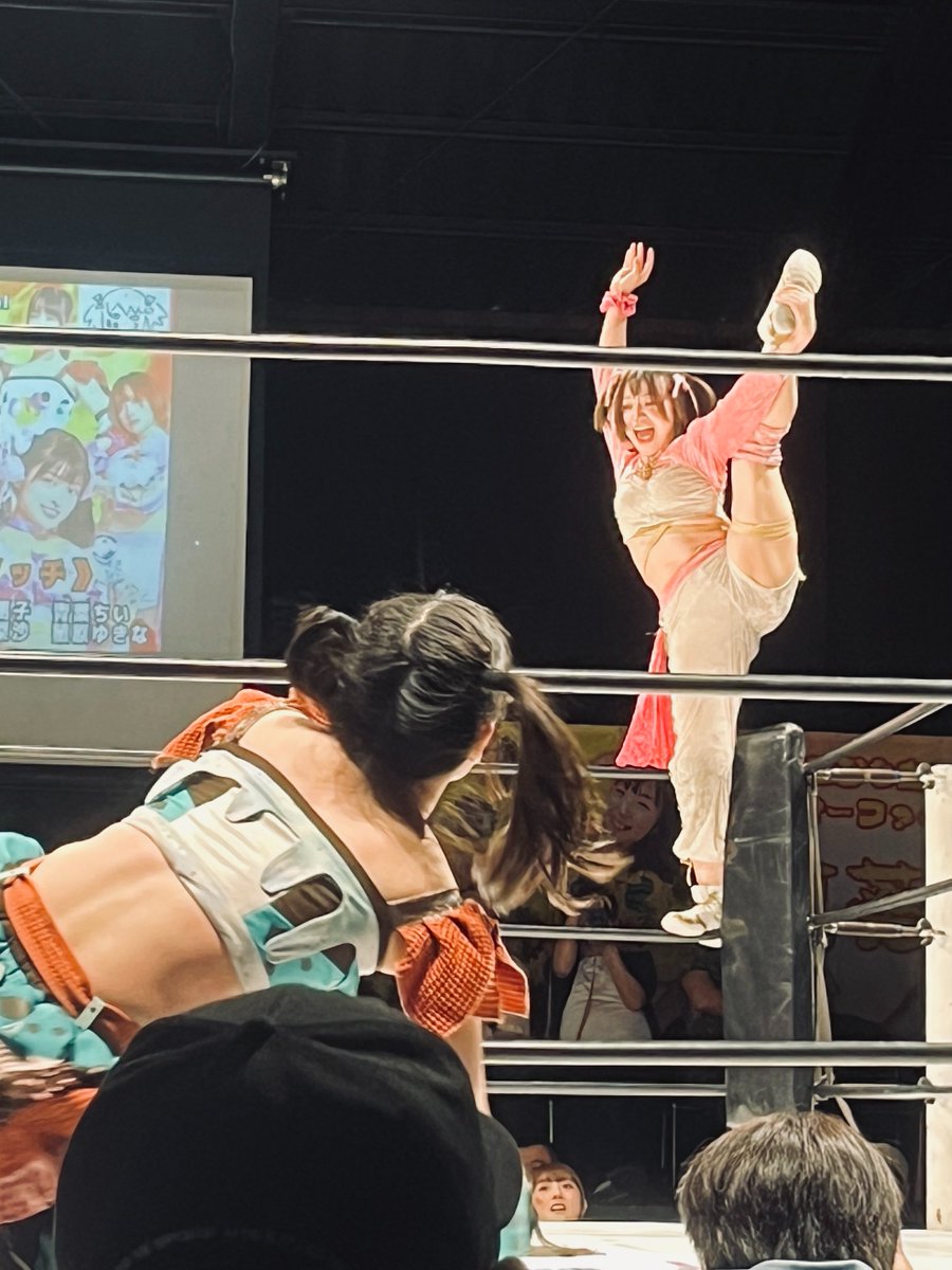 ス*認様 グレイシアとエーフィ モンスターボールミラーセット グレイシア エーフィ シャワーズ｜Yahoo