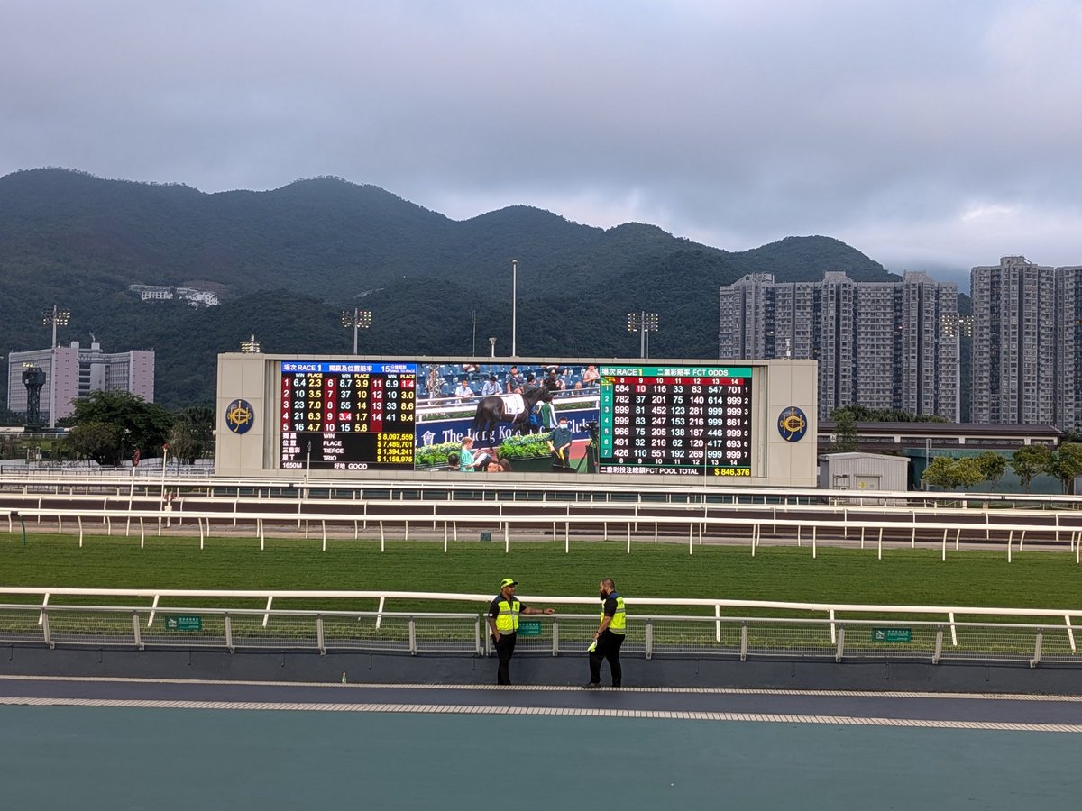 沙田競馬場に行ってきました☺️めちゃくちゃ広くて人も多かった😂勝っ