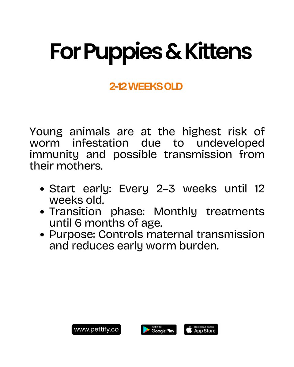 usepettify's tweet photo. One of the most important questions pet owners ask is  " how often should I deworm my pet?"

We've answered you👇

All you need to do is swipe

#deworm #vaccination #petcare #pettify https://t.co/CJu5OOyvsg