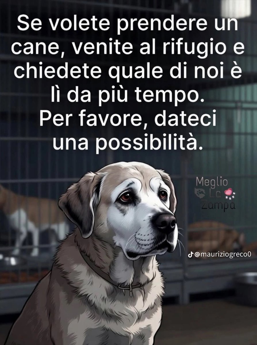 anna maria moscarell tweet media