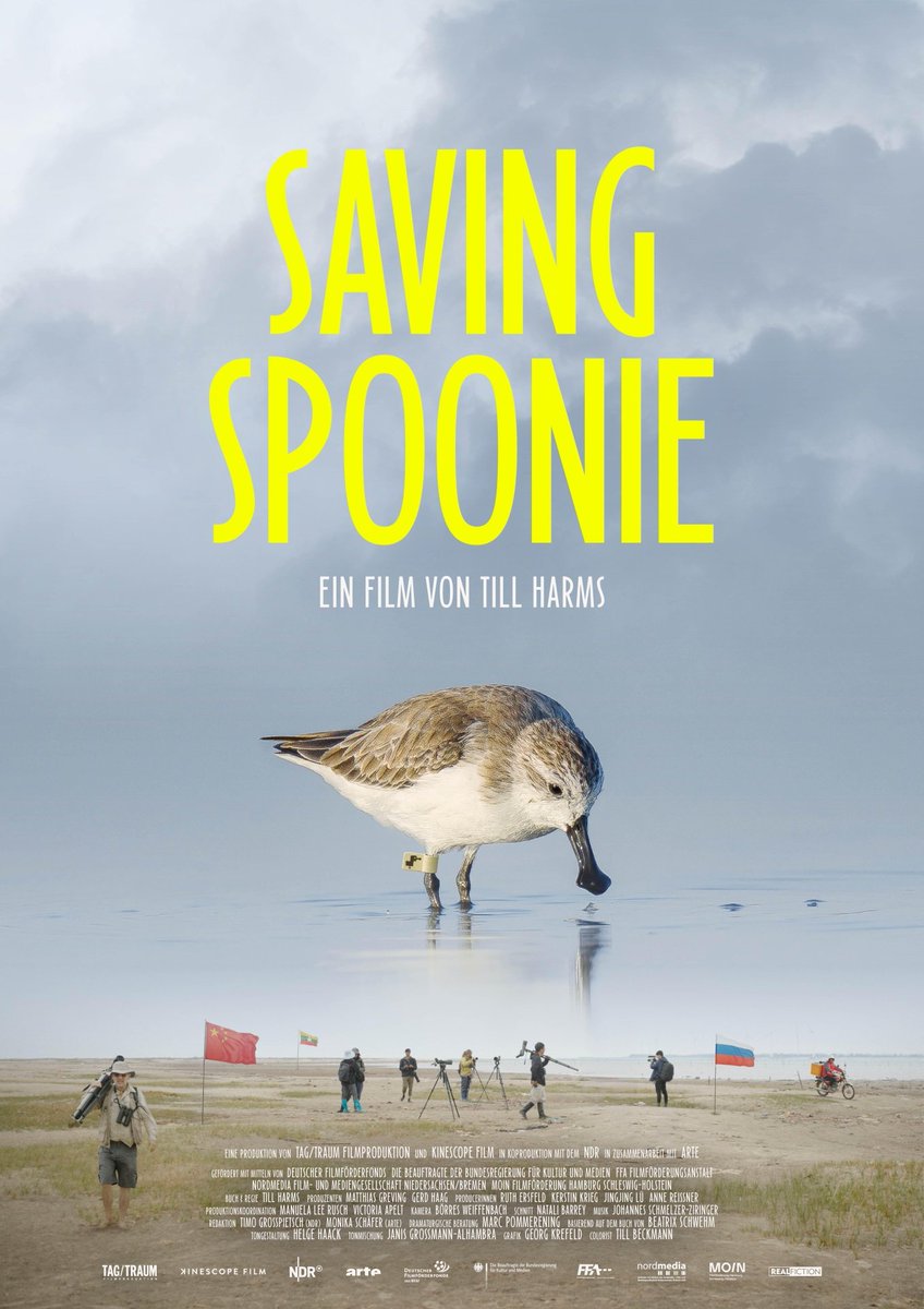 World Migratory Bird Day tweet media