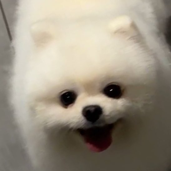 🫳