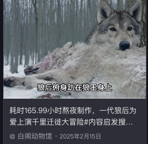 youaredegen's tweet photo. 叫索菲亚 https://t.co/NDP9ZKnWC9