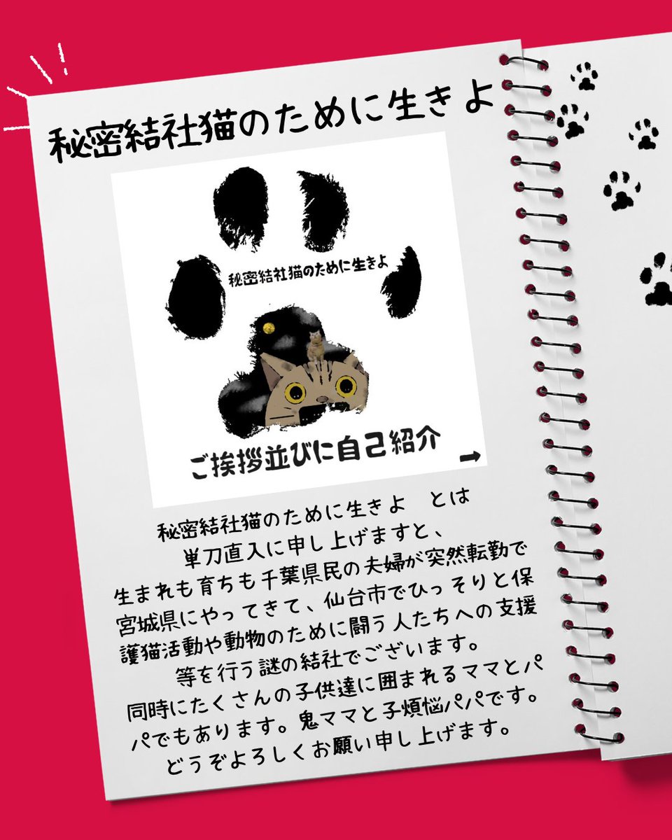 2026年度版インスタ用自己紹介画像が作り終わりました。暇見つけて投稿