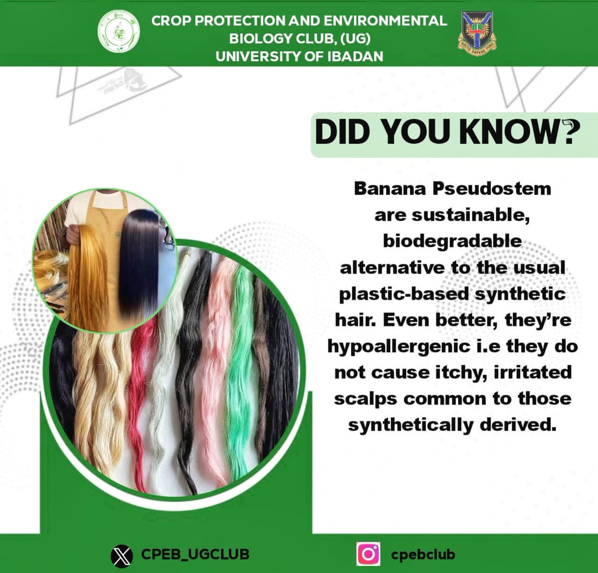 CPEB_UGCLUB's tweet photo. Did you know banana fibers can be transformed into eco-friendly wigs and hair extensions?
Yes! Banana fibers!
And the best part? When you’re done using them, they don’t sit in landfills for years. They break down naturally, returning nutrients right back into the soil. https://t.co/LUw3MwO3vg