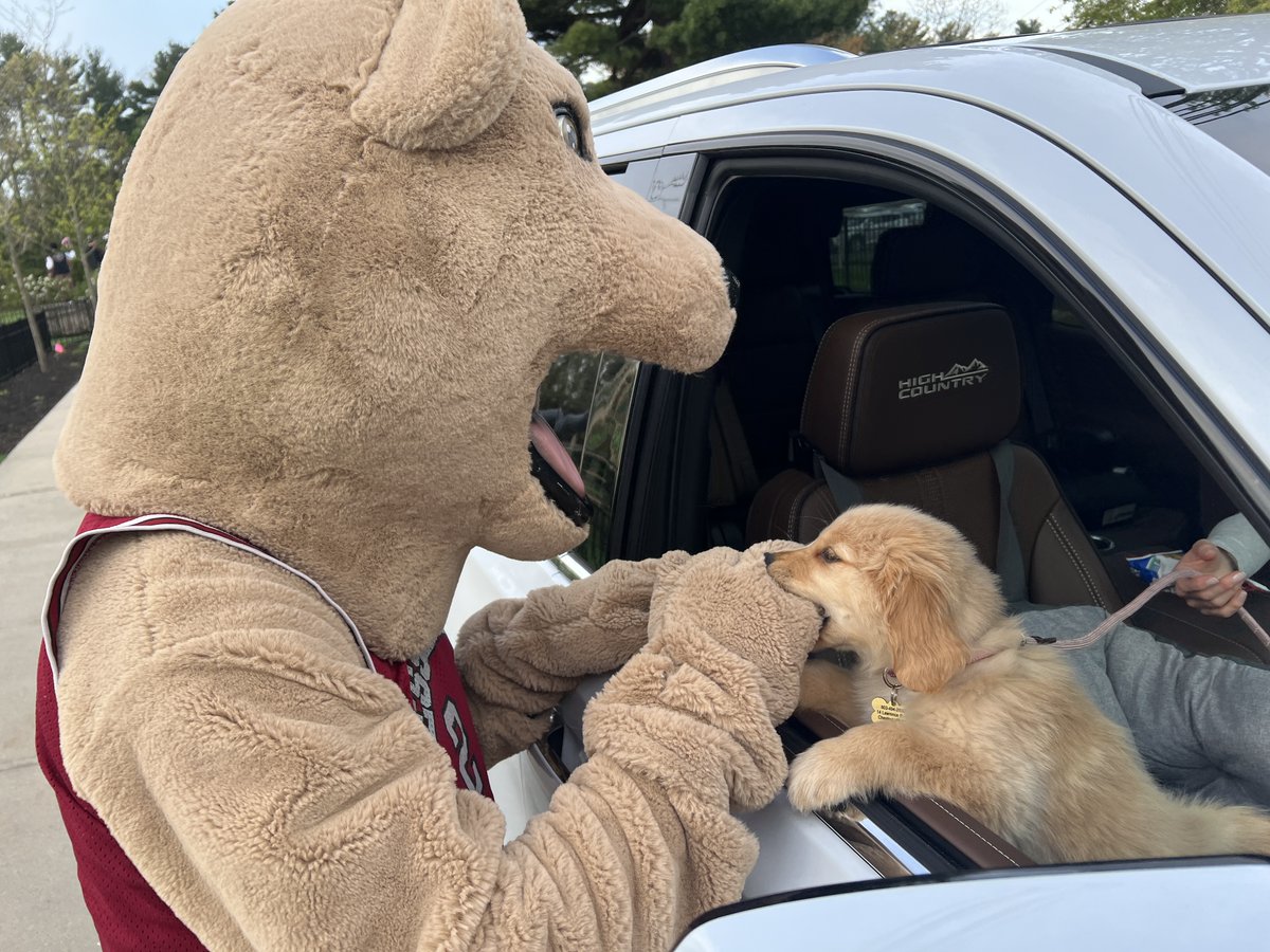 FessyiLab's tweet photo. It's a great day to be a Fessy Bear! 🐻 #fessenden #fessybear #dayofgiving #greatdayforfessybears https://t.co/HJD2EK60Jp