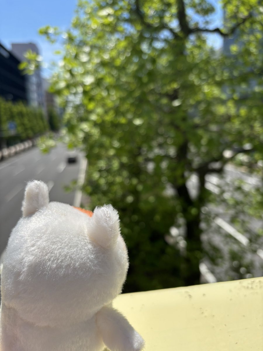 米みつ tweet media