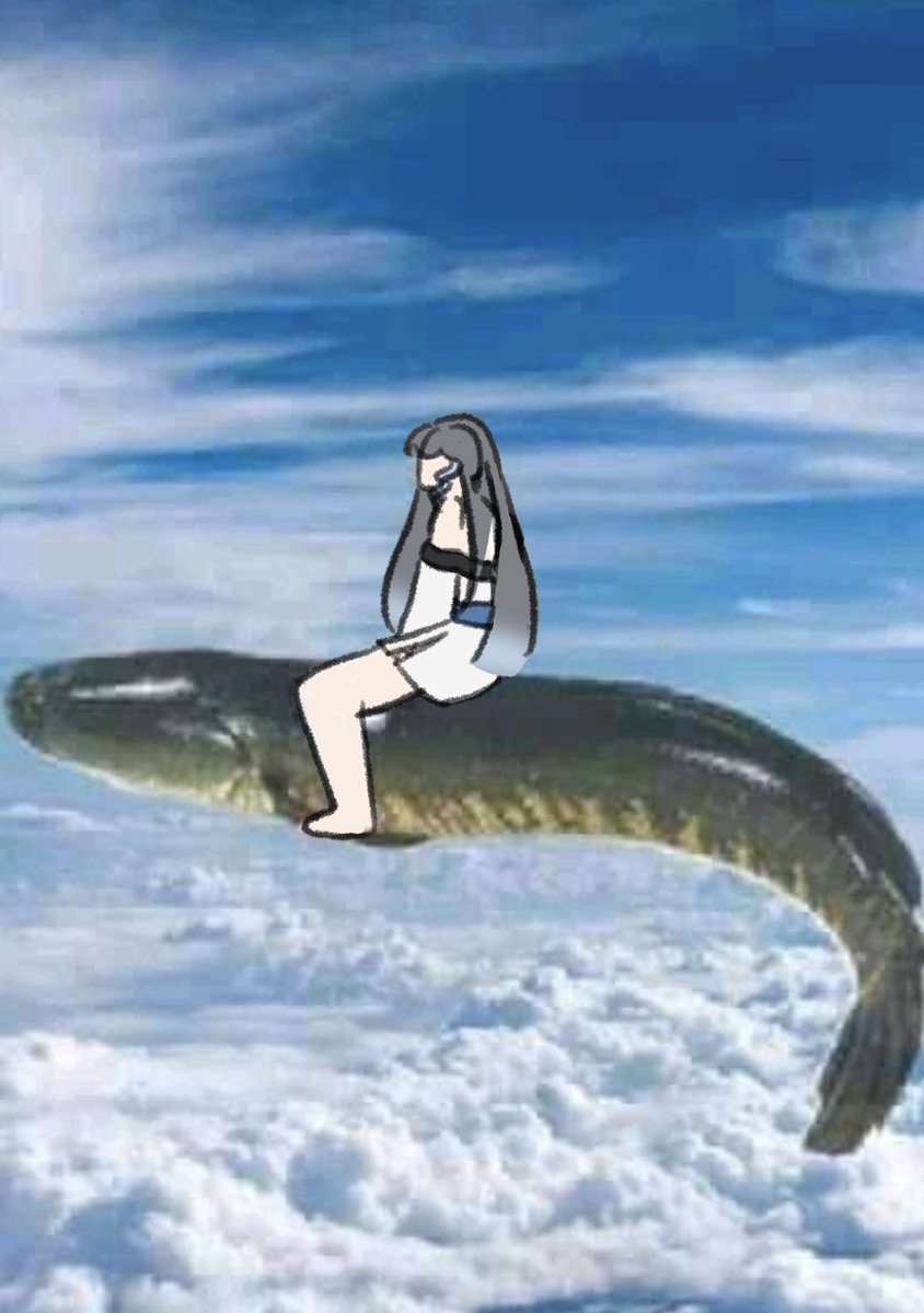 Hoseki_Minori🌊 】 KNM 】 tweet media