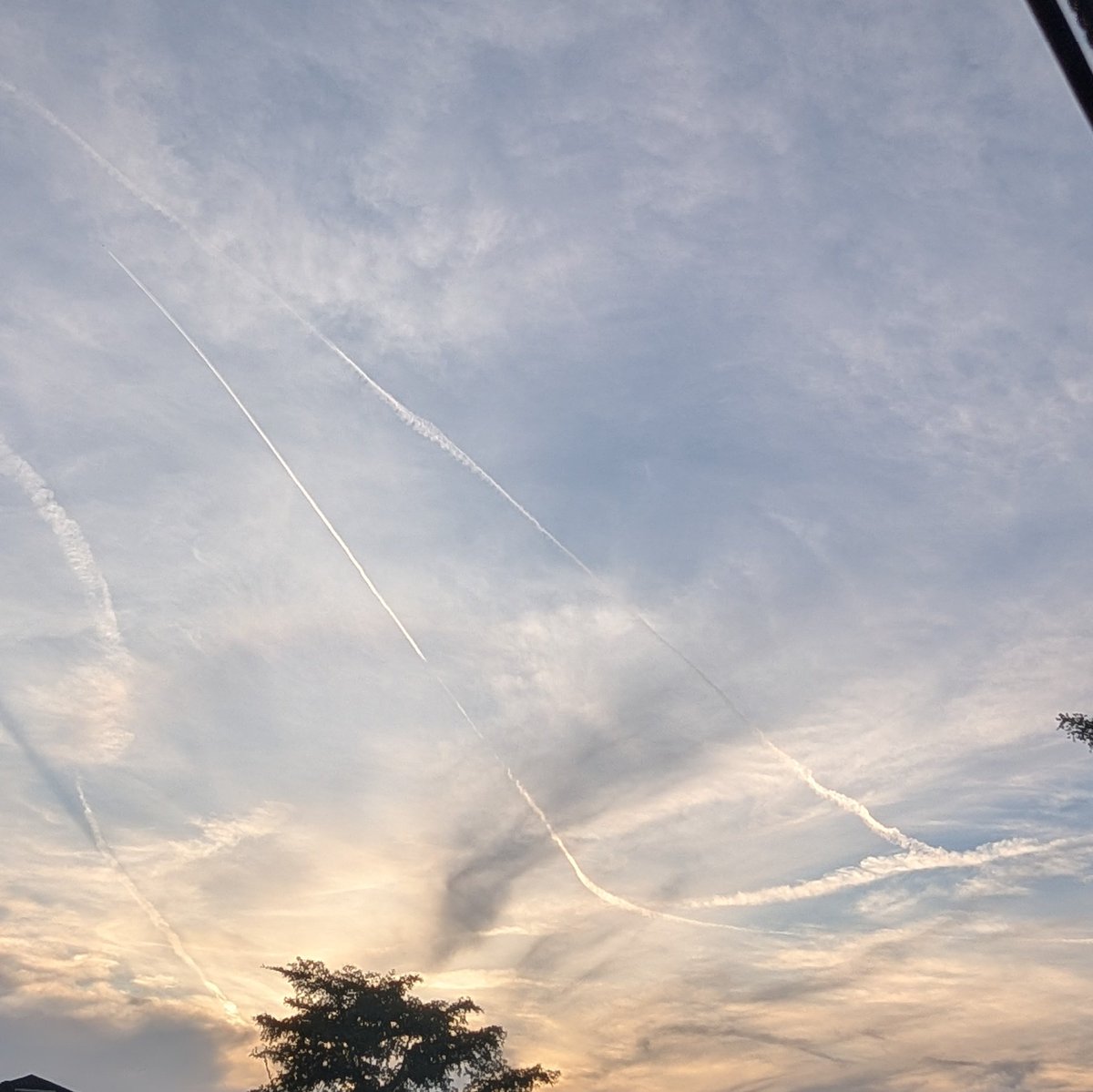 If I was <a href="/GovRonDeSantis/">Ron DeSantis</a>, I would declare a state of emergency and use the FLANG to shoot down any plane spraying our skies.