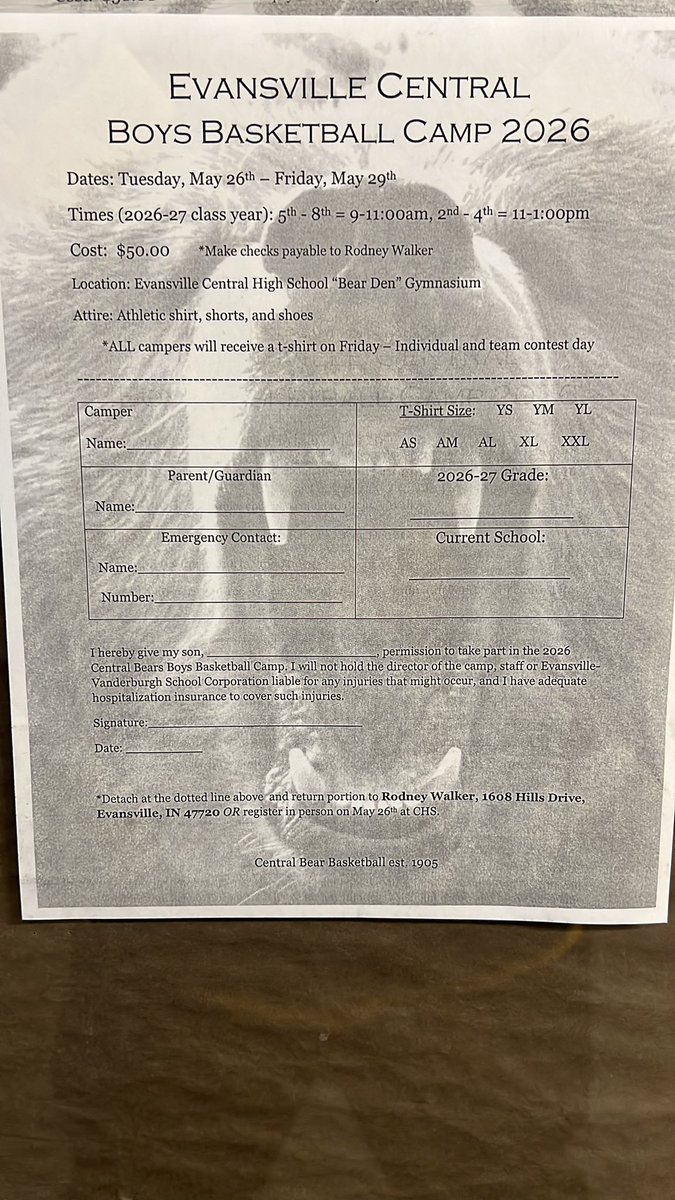 bears_central's tweet photo. Summer Basketball Camp 2026 https://t.co/FWxtGFNb94