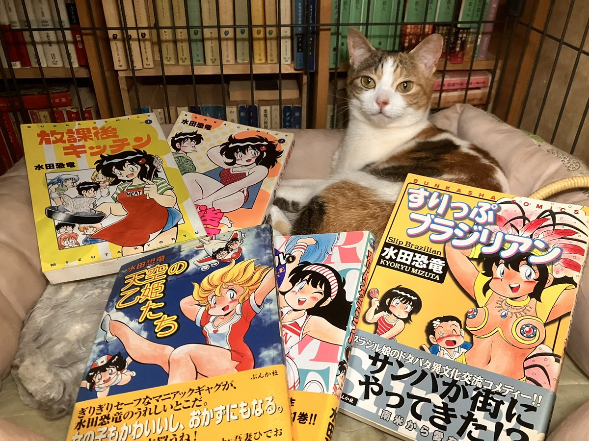 海老沼みなみ tweet media