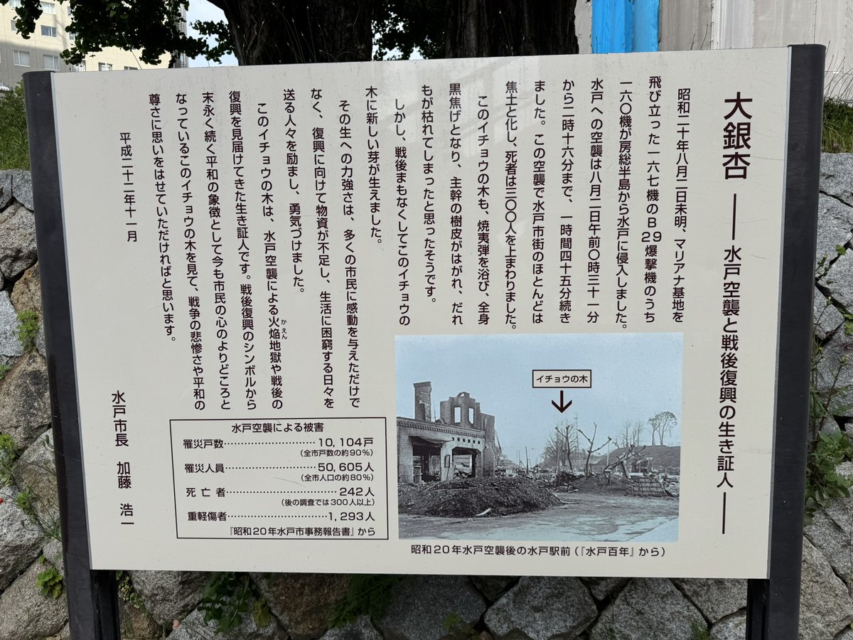 ばやし tweet media