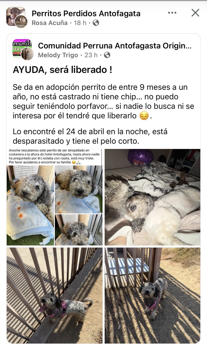 Jordi tweet media