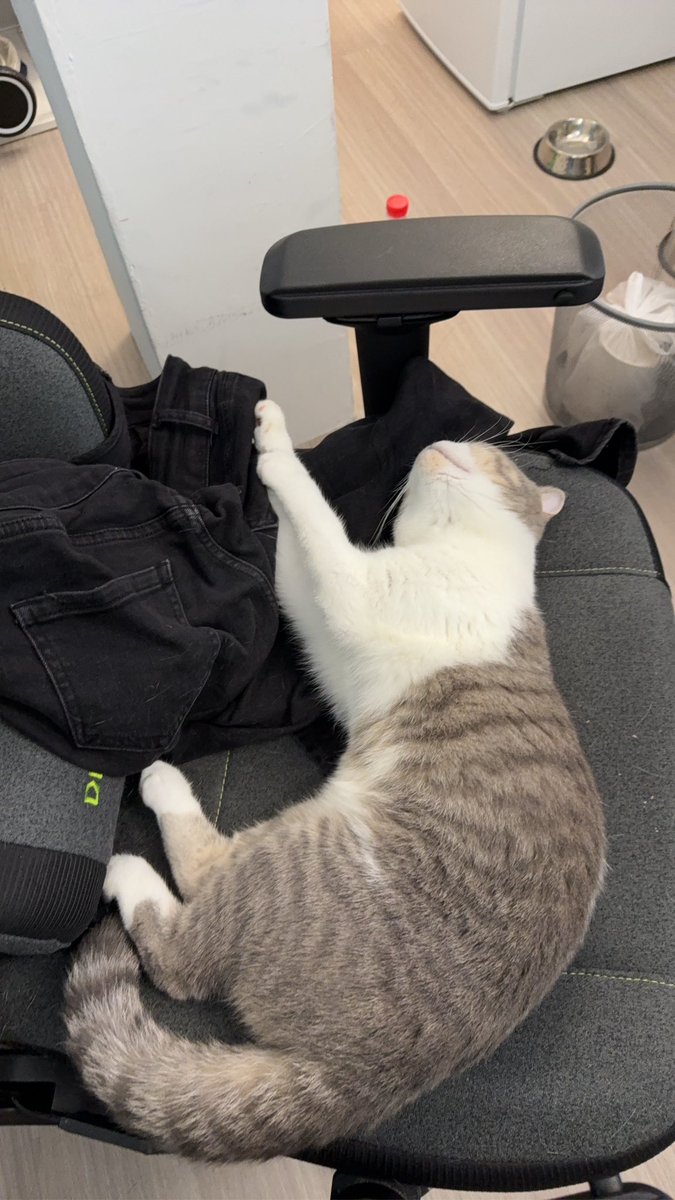 Mimi🐱(ins:Mimi_52099) tweet media