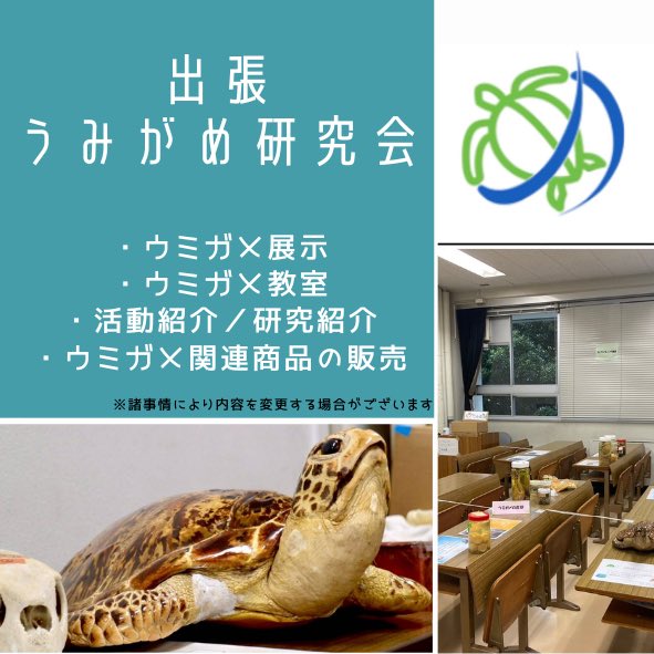 模擬店企画⑫】うみがめ研究会 今回ご紹介するのは、うみがめ研究会