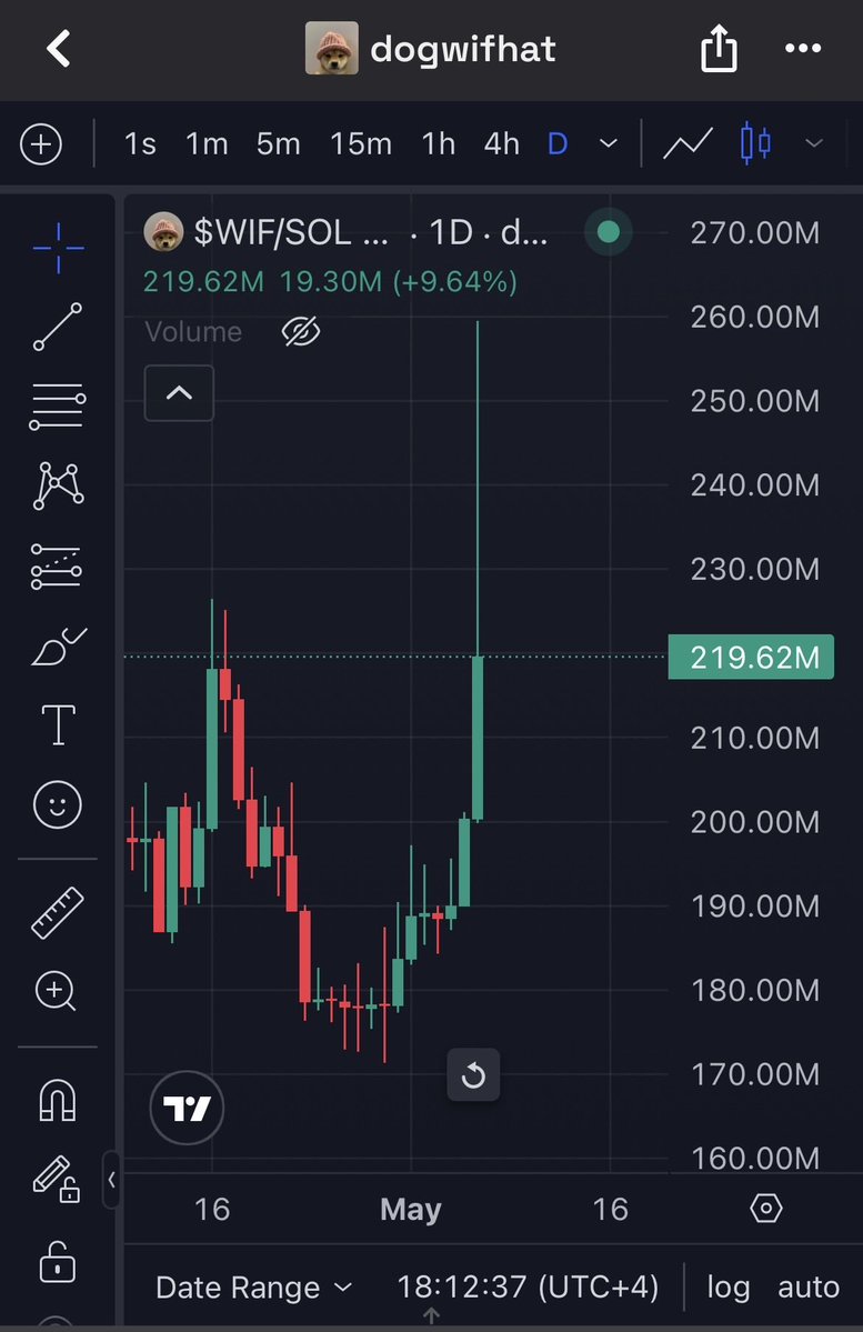 What is the $WIF cult cooking that we don't know about??