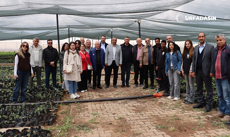 urfadasin's tweet photo. TBB Heyeti, Şanlıurfa'da Büyükşehir'in Tarımsal Üretimini İnceledi https://t.co/T3DyZS6cwQ #Şanlıurfa #TTB #Heyet #Tarım #inceleme #BüyükşehirBelediyesi @sanliurfabld @urfatarimsal @HatipogluHalil https://t.co/2py5XY41kP