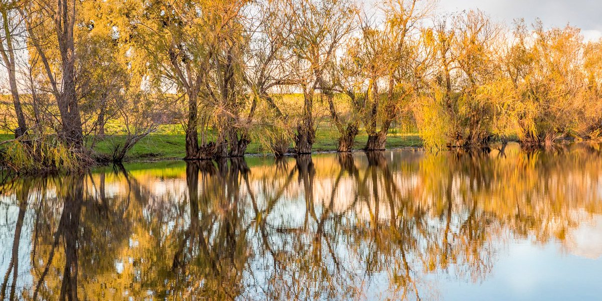 Tina Quillen Photography tweet media