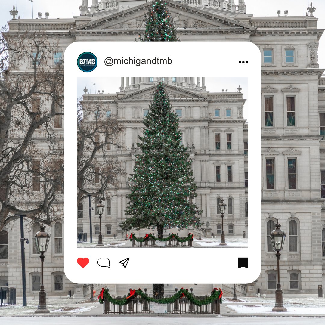 Michigan DTMB tweet media