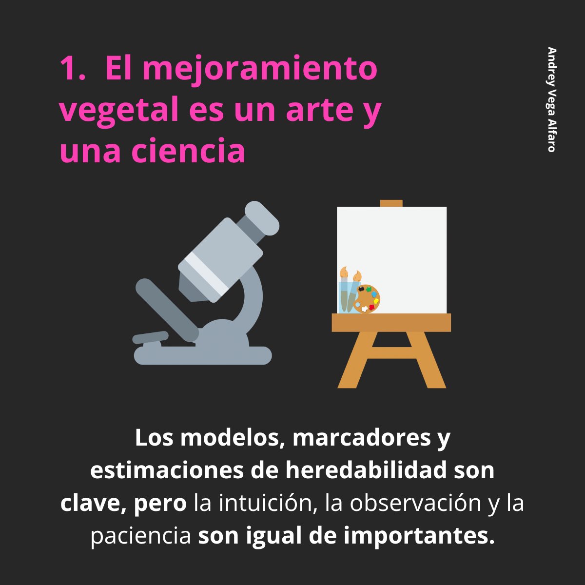 AMSAC Semilleros tweet media