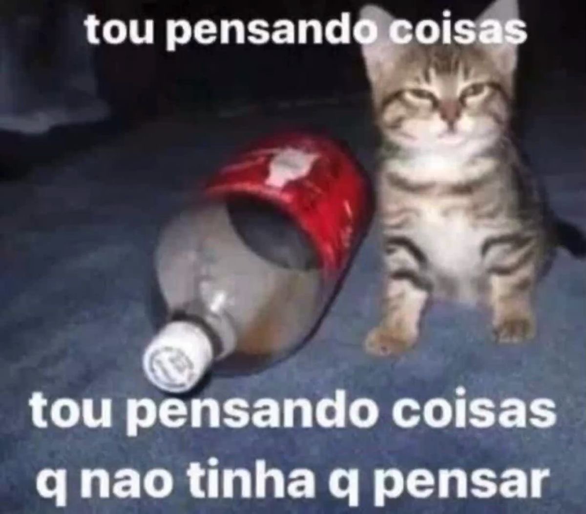 shitpostverdade's tweet photo. https://t.co/vbcQVDj4q5