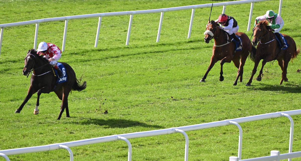 BallylinchStud tweet media
