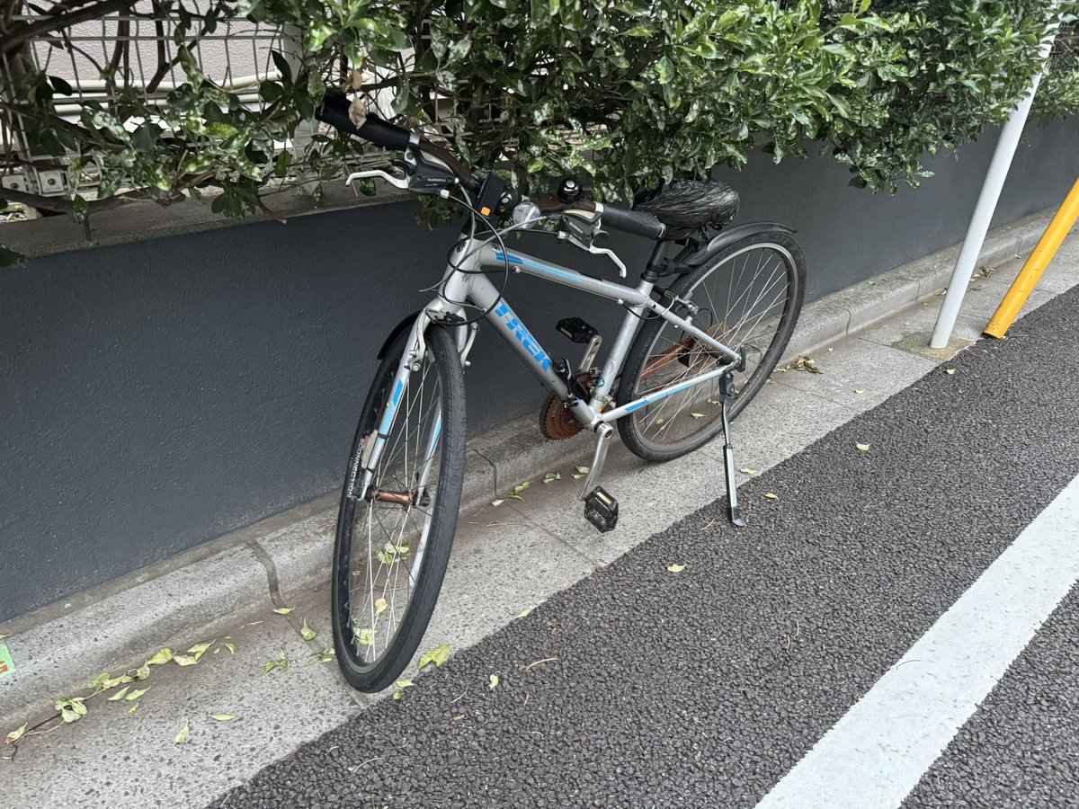 カオル tweet media