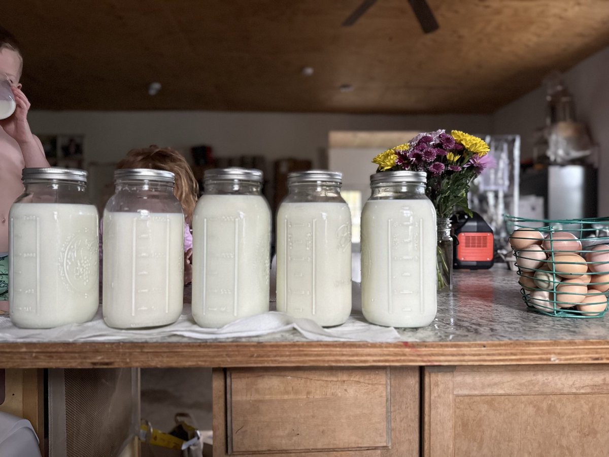 Wild Welling’s Homestead tweet media