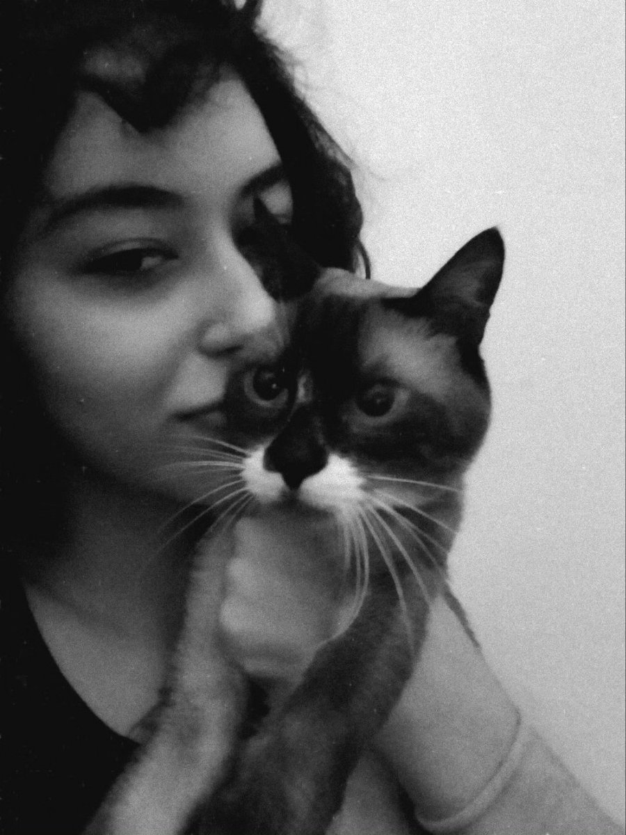 anaspiralis's tweet photo. Hoje perdi meu Milo, meu filhote. 
O ser mais importante da minha existência, meu melhor amigo, aquele que me deu razões para viver e tornou as tempestades mais suaves. 

Eu não tenho palavras pra descrever o que sinto.
Definitivamente, junto dele uma parte de mim também se vai. https://t.co/nOtFXFlO1T