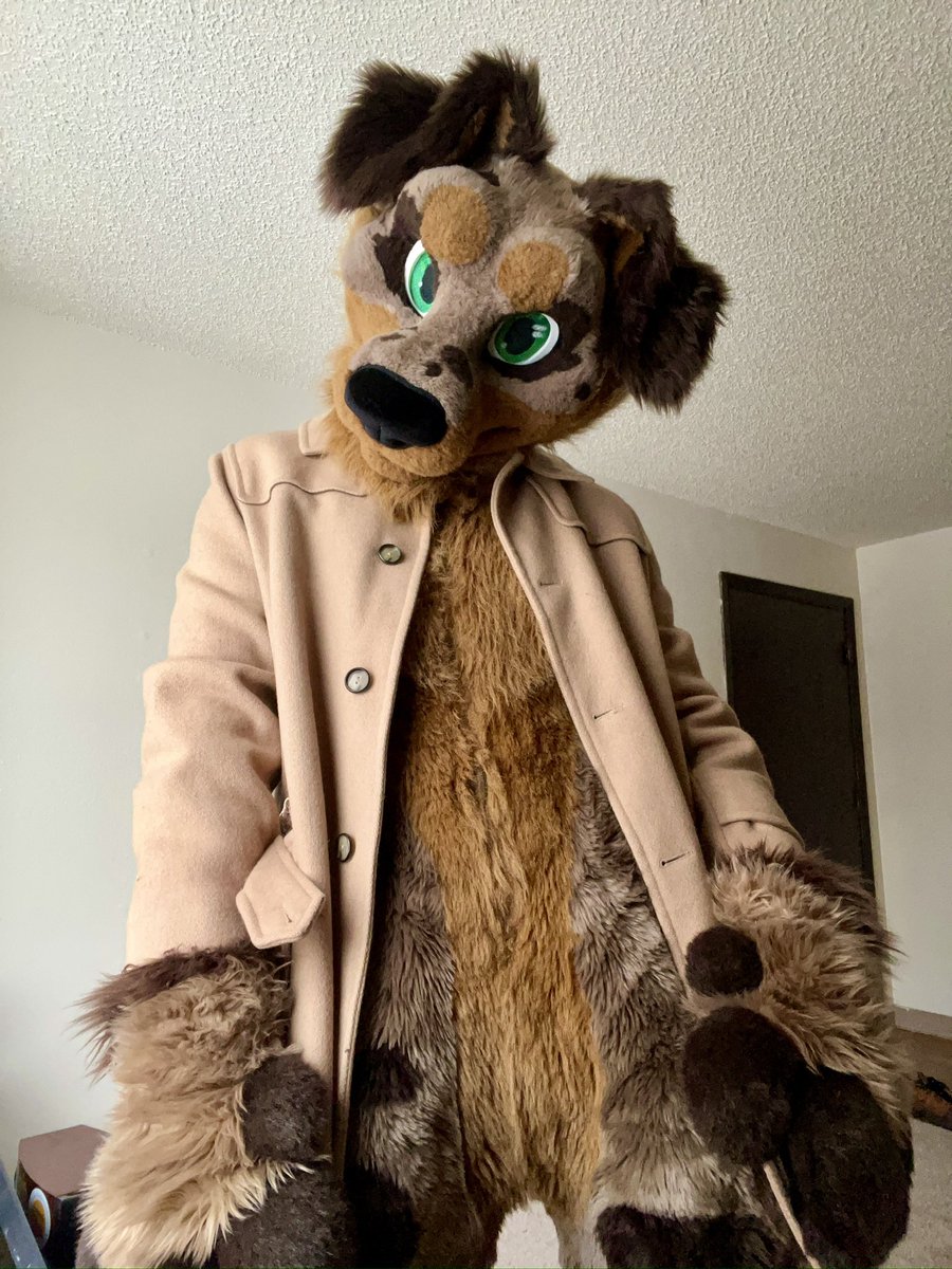 Finn the Dachshund 🔜 FWA tweet media