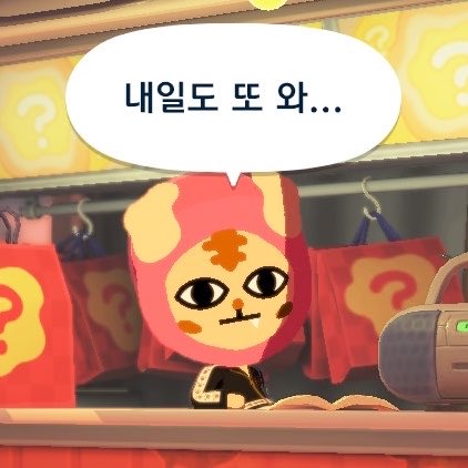 또치 tweet media
