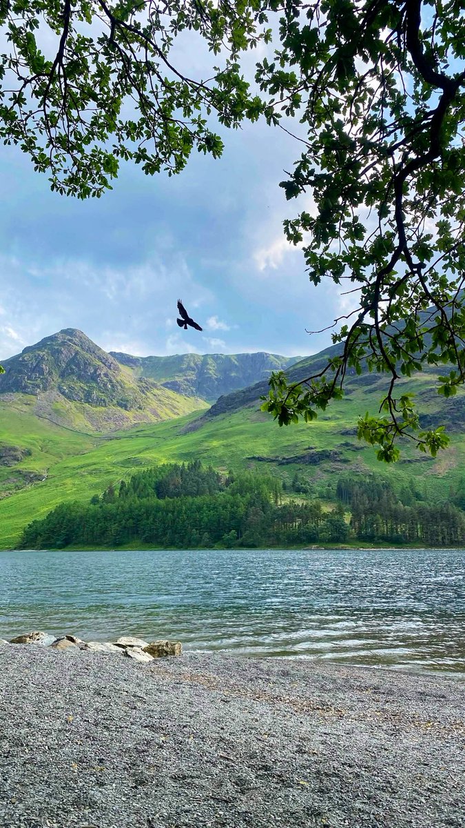 Postcard from Britain tweet media