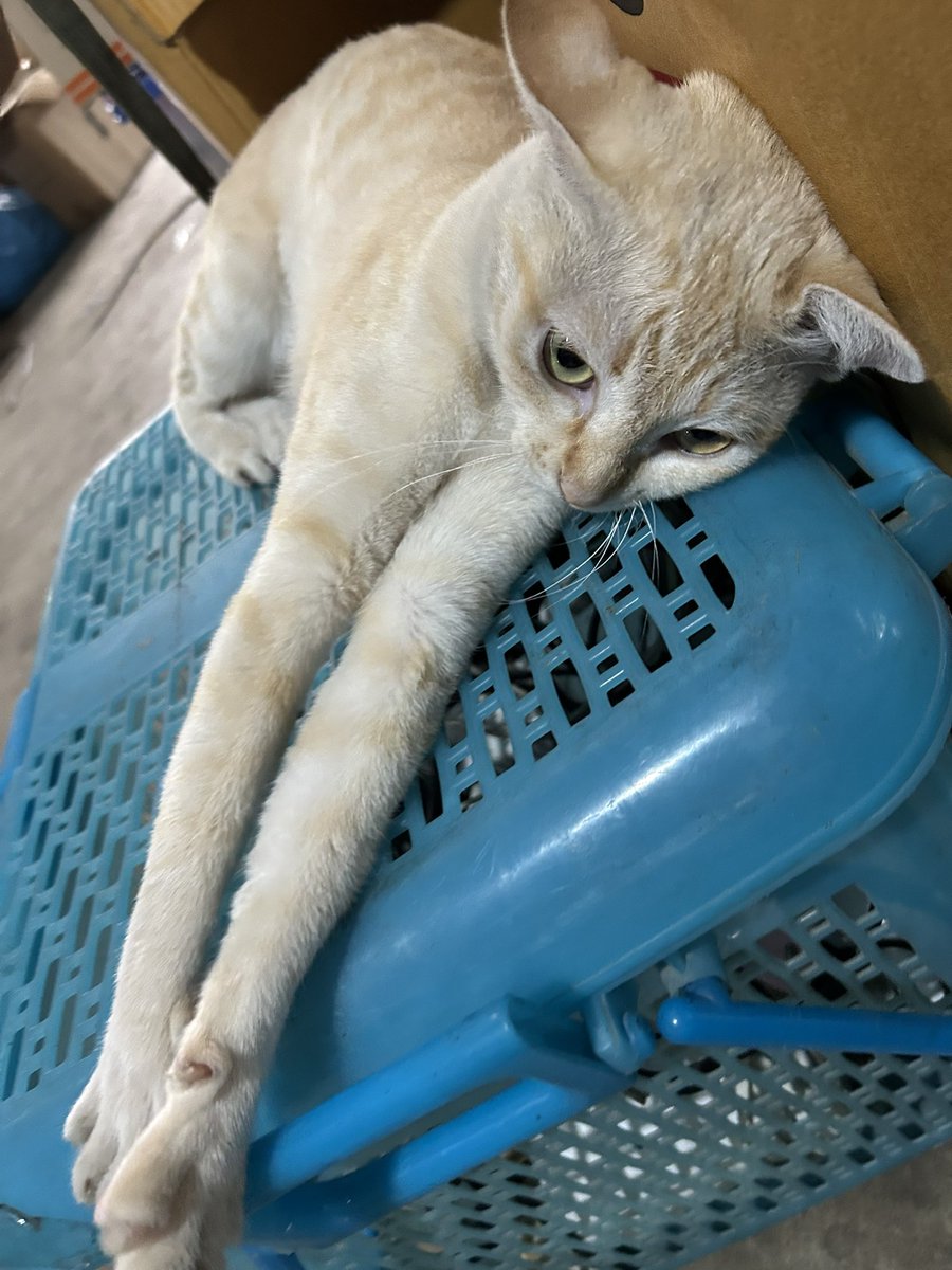 feampat's tweet photo. แงว https://t.co/L6a38UxWfA