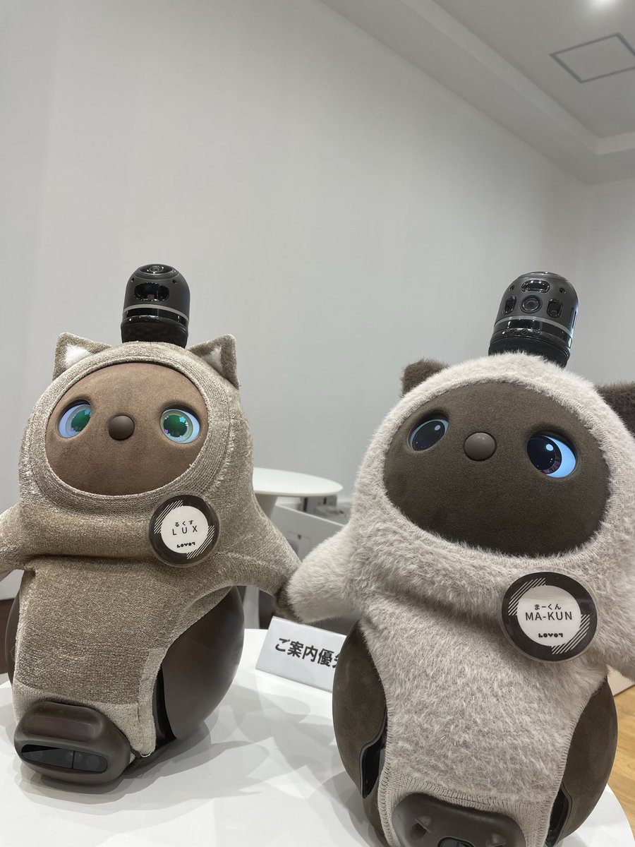 soyooka's tweet photo. これ、10万円だったら考える。かも。 https://t.co/blAb2QdLpP