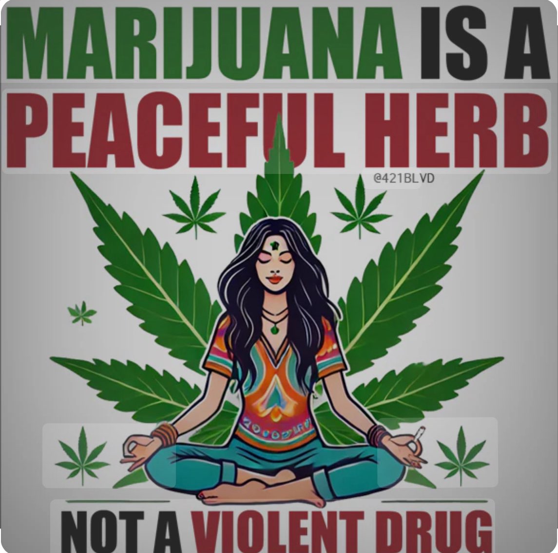 🎯❤️👇