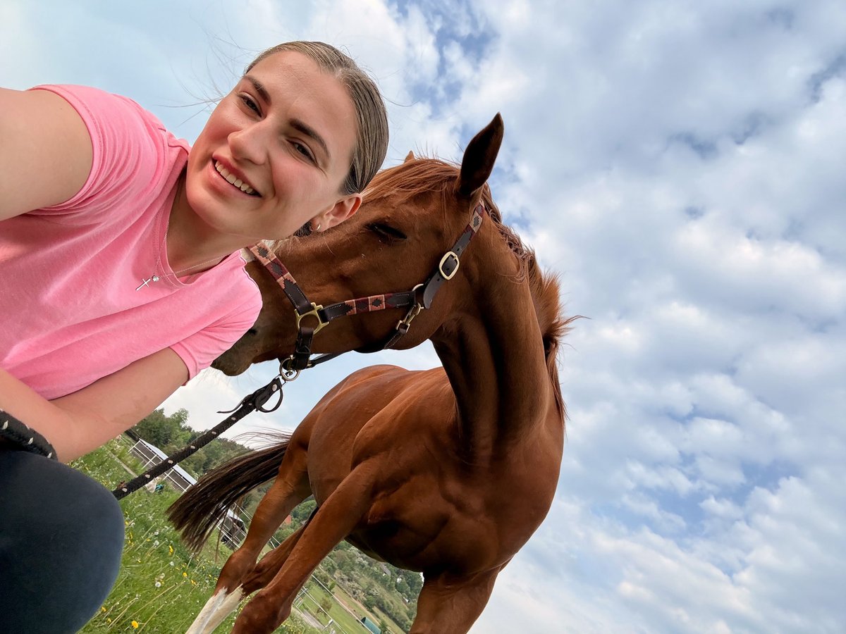 Sára tweet media