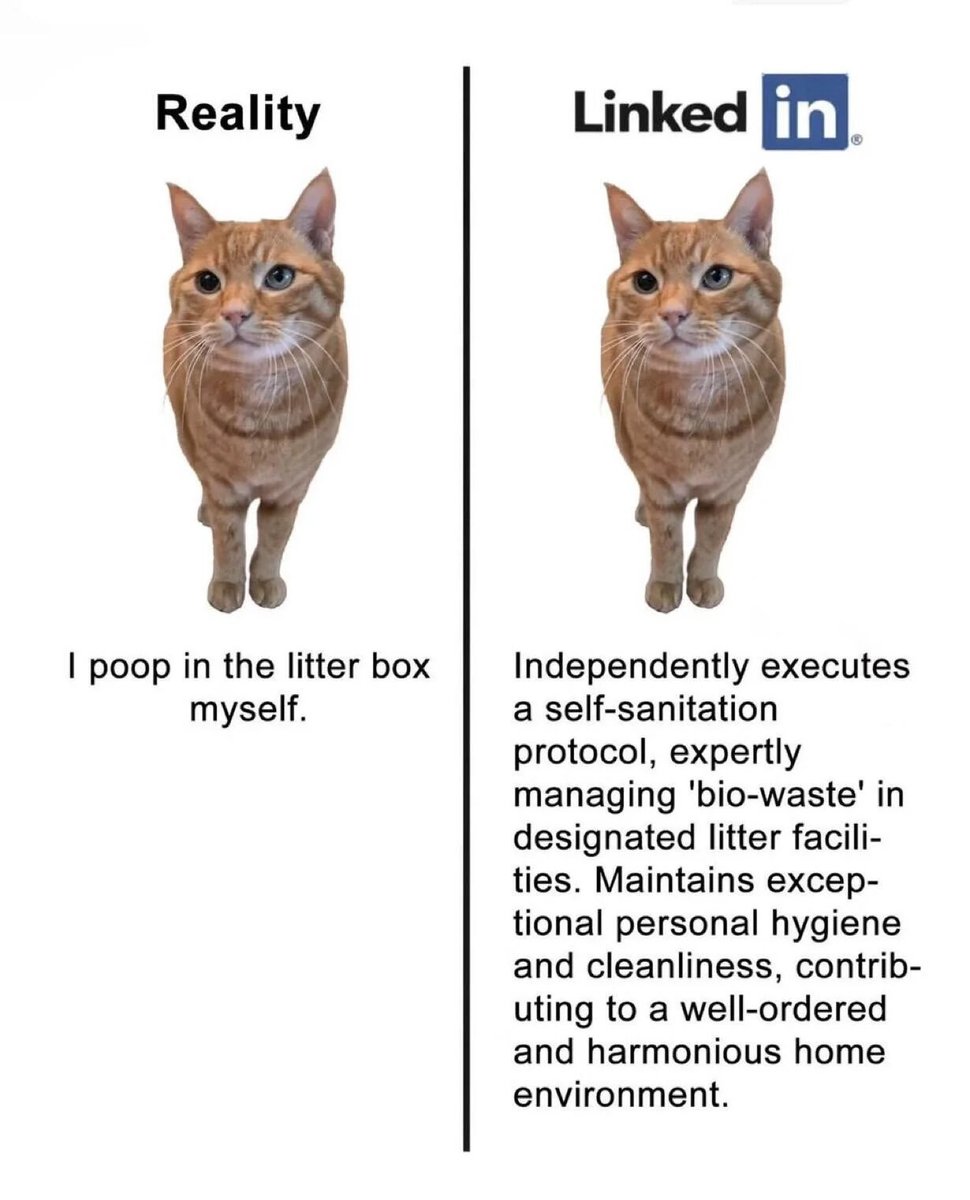 WholesomeMemes tweet media