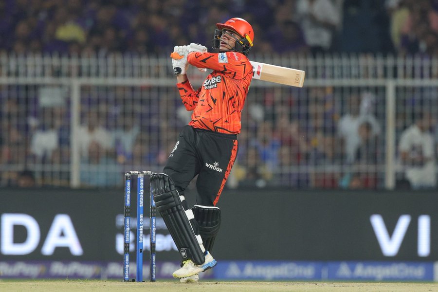 The Cricket Panda tweet media