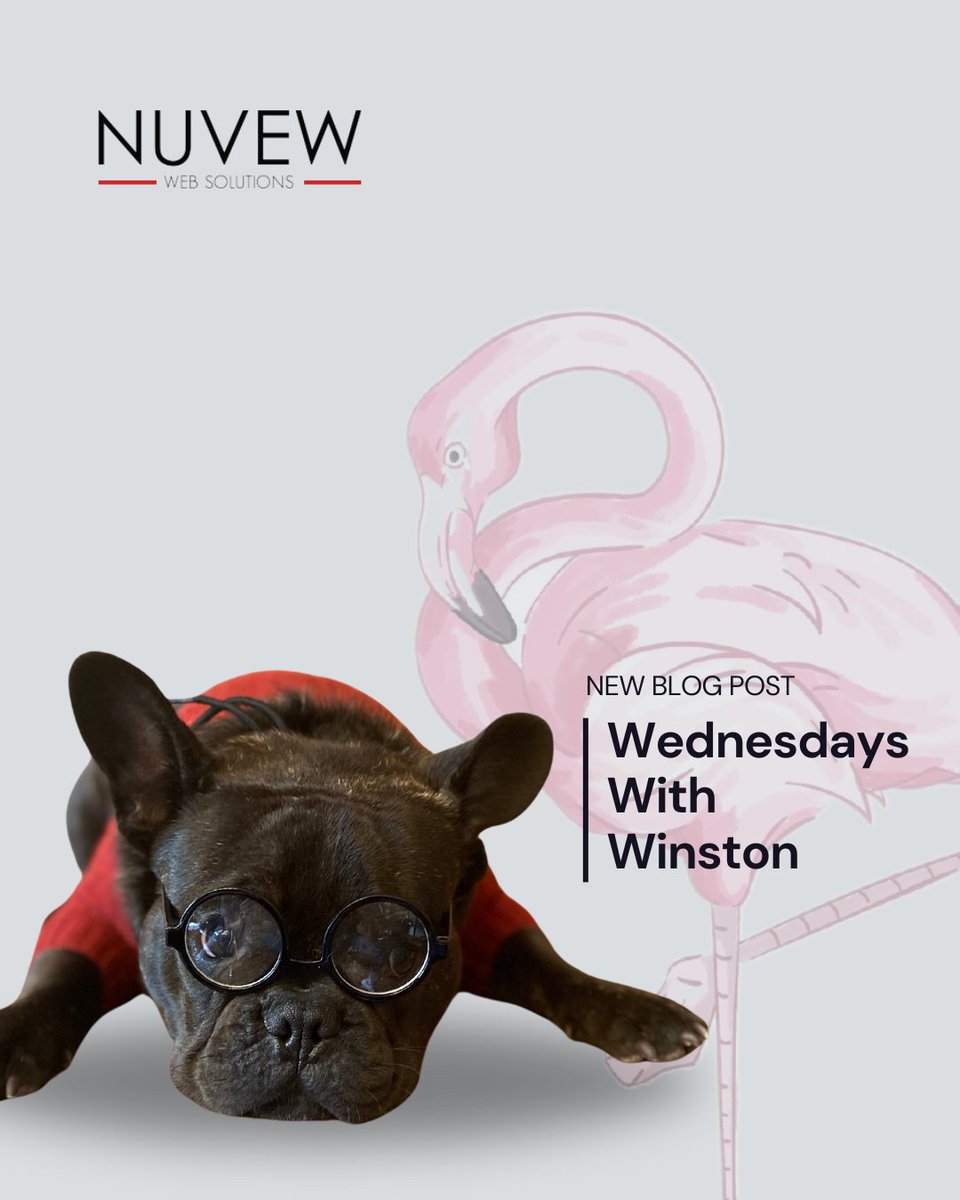 NUVEW Web Solutions tweet media