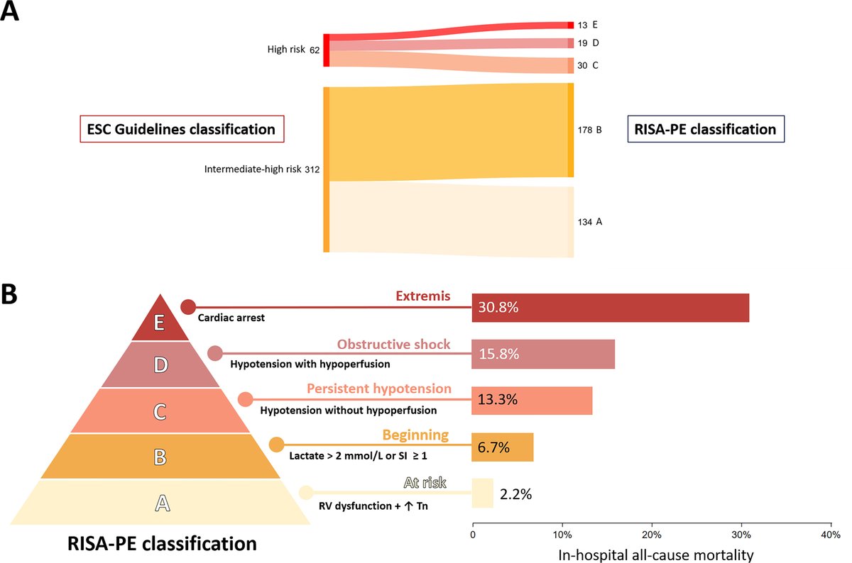 Want to learn more about the validation of the RISA-PE risk classification in patients with acute pulmonary embolism receiving medical treatment? 🧐

Access the multicenter study featured in the scientific letter of #ArchivosdeBronconeumología

➡️n9.cl/6ebui

#SEPAR