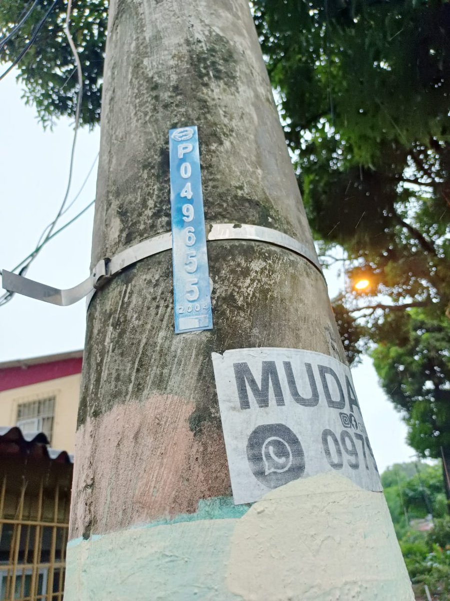 D_Ecuador's tweet photo. @parquesgye @alcaldia buen día por favor su ayuda. Estas ramas han caído y sólo es sostenida por los cables. Hay energía en la casa. https://t.co/wussmQOzVO