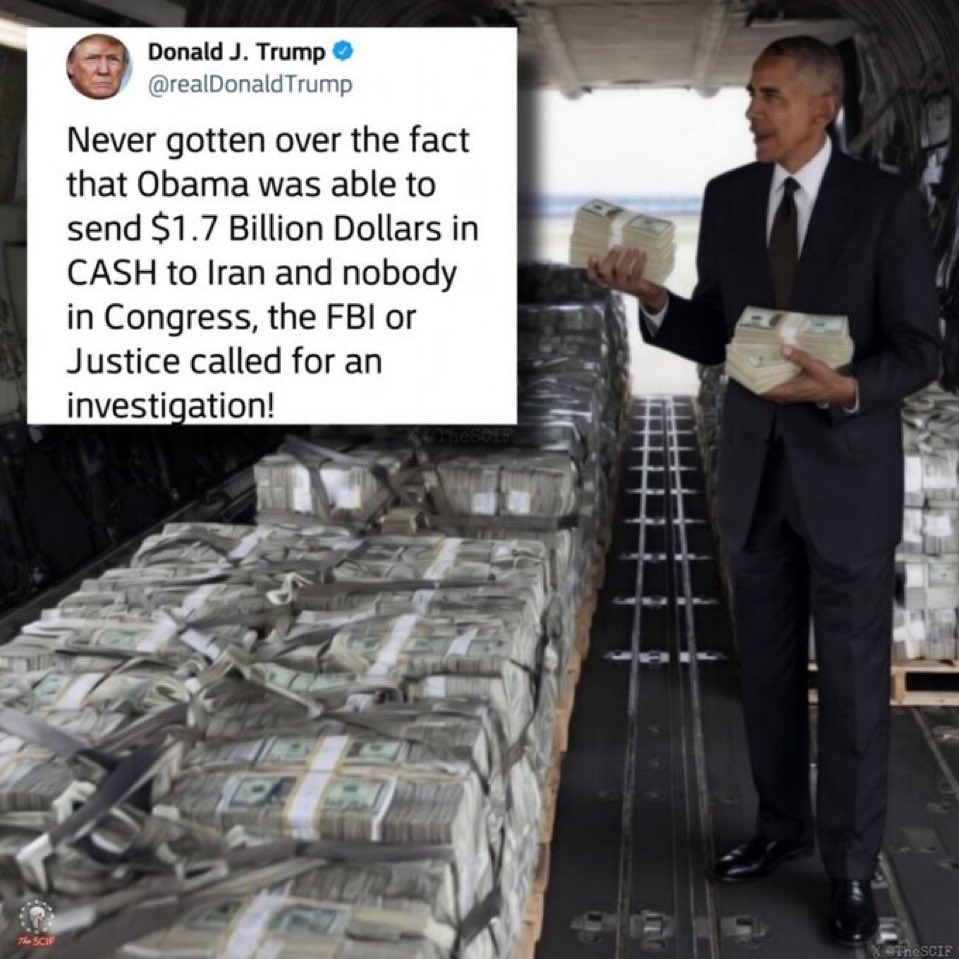 GinnyM tweet media